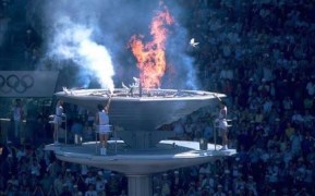 thumbnail_Korean Charcoal Dove