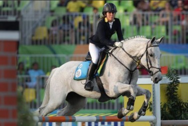 thumbnail_Unknown horse no worries