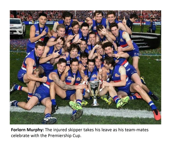 thumbnail_forlorn-murphy