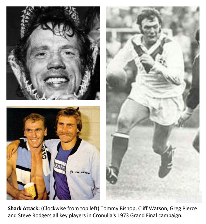 thumbnail_shark-attack-jpg