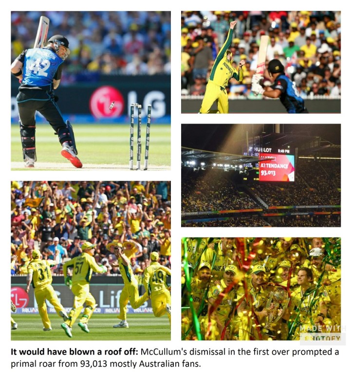 thumbnail_world-cup-final