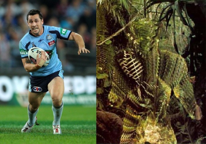 Mitchell+Pearce+NSW+v+QLD+State+Origin+Game+0jmydfuQ0qkl